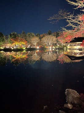 国営昭和記念公園 秋の夜散歩に投稿された画像（2022/11/25）