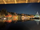 国営昭和記念公園 秋の夜散歩に投稿された画像（2022/11/25）
