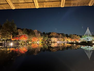 国営昭和記念公園 秋の夜散歩に投稿された画像（2022/11/25）