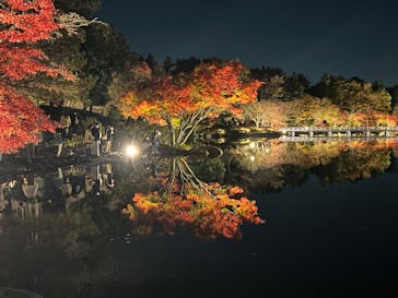 国営昭和記念公園 秋の夜散歩に投稿された画像（2022/11/25）