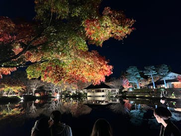 国営昭和記念公園 秋の夜散歩に投稿された画像（2022/11/25）