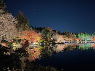 国営昭和記念公園 秋の夜散歩に投稿された画像（2022/11/25）