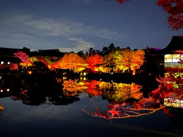 NAKEDヨルモウデ2022平安神宮に投稿された画像（2022/11/25）