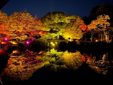 NAKEDヨルモウデ2022平安神宮に投稿された画像（2022/11/25）