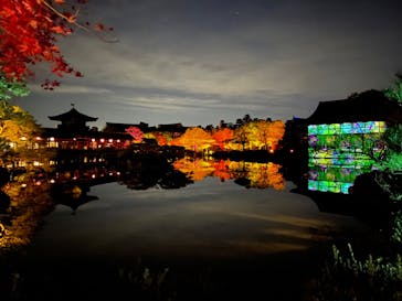 NAKEDヨルモウデ2022平安神宮に投稿された画像（2022/11/25）