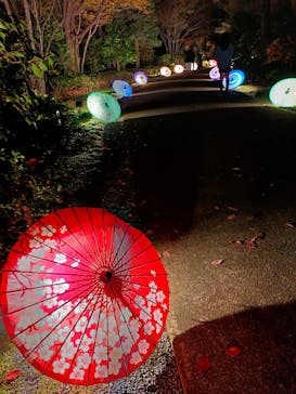 国営昭和記念公園 秋の夜散歩に投稿された画像（2022/11/25）