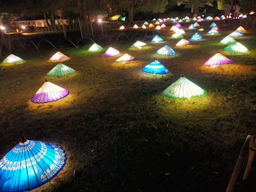 国営昭和記念公園 秋の夜散歩に投稿された画像（2022/11/25）