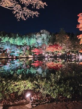 国営昭和記念公園 秋の夜散歩に投稿された画像（2022/11/25）