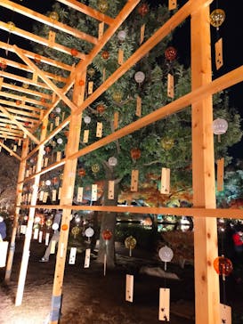 国営昭和記念公園 秋の夜散歩に投稿された画像（2022/11/25）