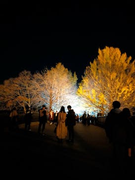 国営昭和記念公園 秋の夜散歩に投稿された画像（2022/11/25）