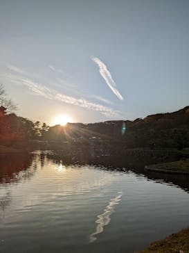 三溪園に投稿された画像（2022/11/25）