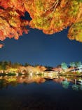 国営昭和記念公園 秋の夜散歩に投稿された画像（2022/11/26）
