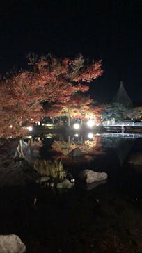 国営昭和記念公園 秋の夜散歩に投稿された画像（2022/11/25）