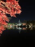 国営昭和記念公園 秋の夜散歩に投稿された画像（2022/11/26）