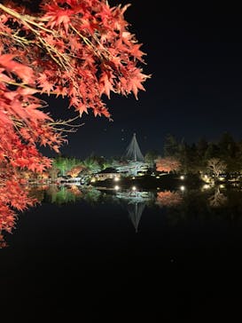 国営昭和記念公園 秋の夜散歩に投稿された画像（2022/11/25）