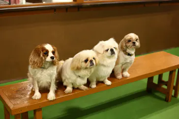 神戸どうぶつ王国に投稿された画像（2022/11/25）