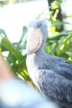 神戸どうぶつ王国に投稿された画像（2022/11/25）