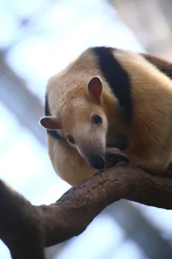 神戸どうぶつ王国に投稿された画像（2022/11/25）