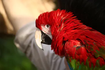 神戸どうぶつ王国に投稿された画像（2022/11/25）