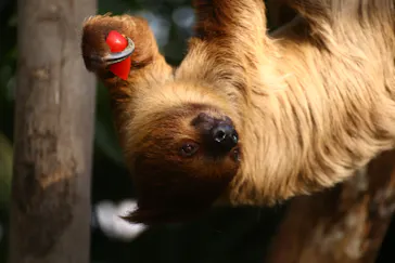 神戸どうぶつ王国に投稿された画像（2022/11/25）