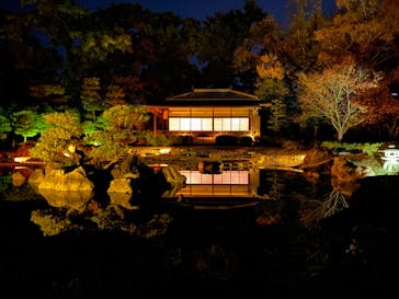 NAKED FLOWERS 2022 秋 世界遺産・二条城に投稿された画像（2022/11/25）