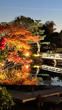 国営昭和記念公園 秋の夜散歩に投稿された画像（2022/11/25）