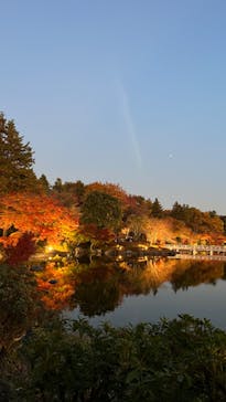 国営昭和記念公園 秋の夜散歩に投稿された画像（2022/11/25）