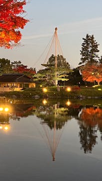 国営昭和記念公園 秋の夜散歩に投稿された画像（2022/11/25）