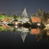 国営昭和記念公園 秋の夜散歩に投稿された画像（2022/11/26）
