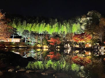 国営昭和記念公園 秋の夜散歩に投稿された画像（2022/11/25）