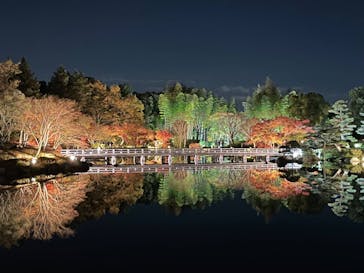 国営昭和記念公園 秋の夜散歩に投稿された画像（2022/11/25）