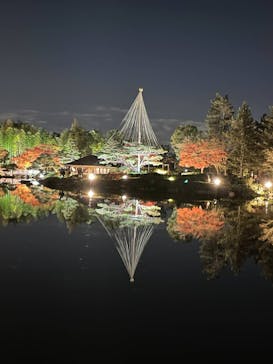 国営昭和記念公園 秋の夜散歩に投稿された画像（2022/11/25）