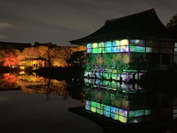 NAKEDヨルモウデ2022平安神宮に投稿された画像（2022/11/26）