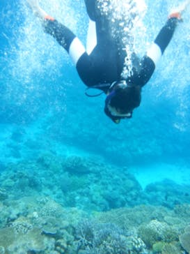 マリンクラブ ベリー 那覇店に投稿された画像（2022/11/26）