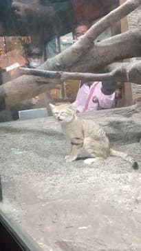 那須どうぶつ王国に投稿された画像（2022/11/26）