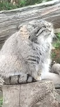 那須どうぶつ王国に投稿された画像（2022/11/26）