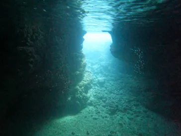 武藤潜水に投稿された画像（2022/11/26）