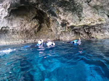 武藤潜水に投稿された画像（2022/11/26）