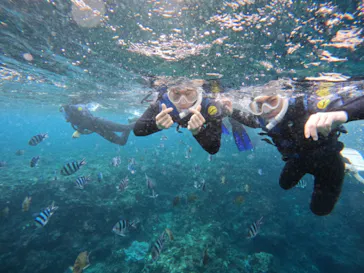 武藤潜水に投稿された画像（2022/11/26）