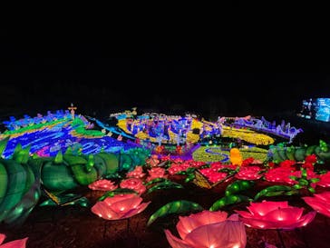 伊豆ぐらんぱる公園に投稿された画像（2022/11/26）