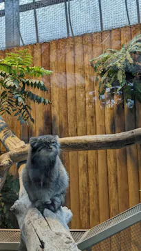 神戸どうぶつ王国に投稿された画像（2022/11/26）