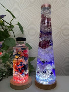 ずこうしつ〜sugamo〜に投稿された画像（2022/11/26）