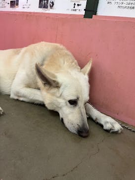 ワールド牧場に投稿された画像（2022/11/26）