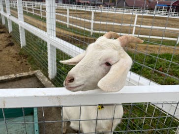 ワールド牧場に投稿された画像（2022/11/26）