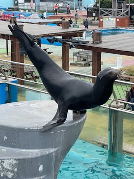 南知多ビーチランド＆南知多おもちゃ王国に投稿された画像（2022/11/26）