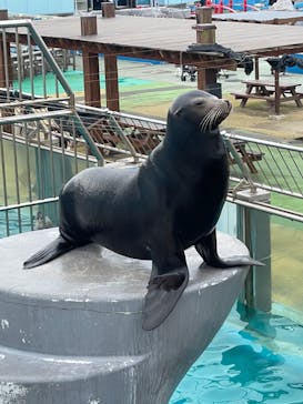 南知多ビーチランド＆南知多おもちゃ王国に投稿された画像（2022/11/26）