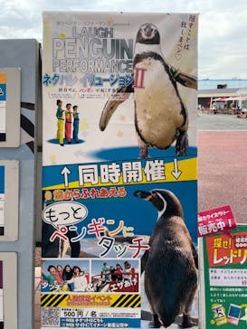 南知多ビーチランド＆南知多おもちゃ王国に投稿された画像（2022/11/26）