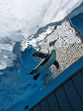 サンシャイン水族館に投稿された画像（2022/11/26）