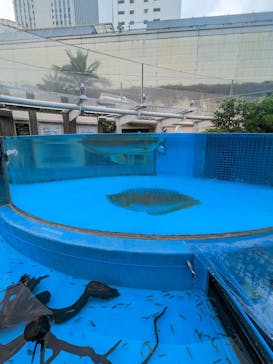 サンシャイン水族館に投稿された画像（2022/11/26）