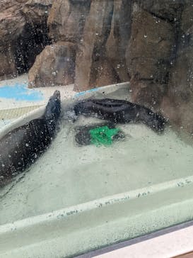 サンシャイン水族館に投稿された画像（2022/11/26）